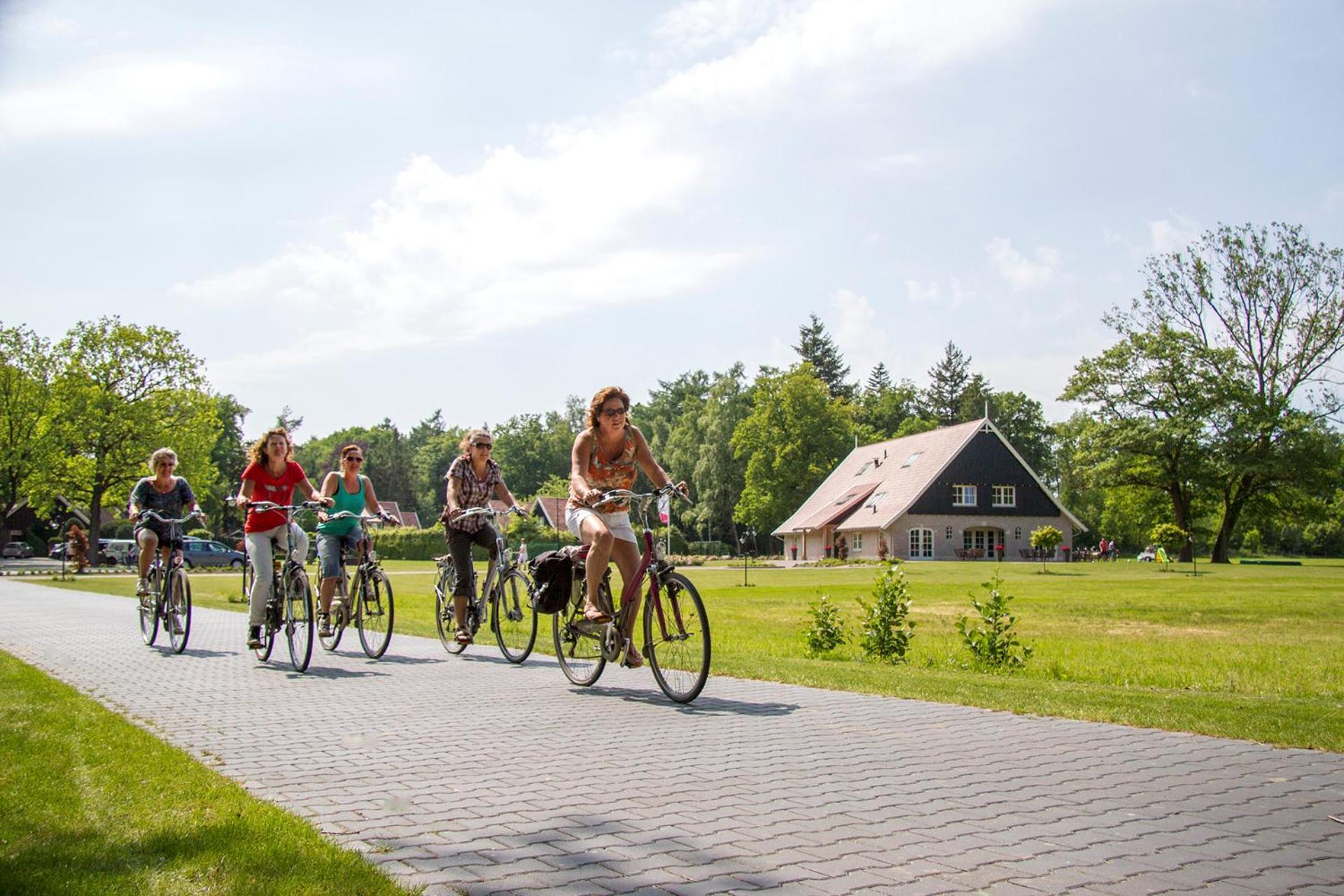 'T Borghuis Villa Losser Exteriör bild